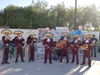 Fotos de Mariachi Gallo de Oro 2