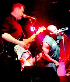 the toasters 2