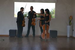 Cuarteto del Horta_0