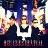 Fotos de Bee Gees Revival (The Covers, The Acoustic Jam) 2