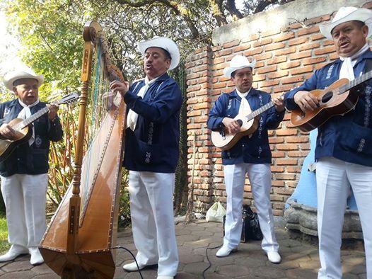 grupo jarocho los mejores para tu fiesta 1
