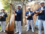 Grupo Jarocho los mejores para tu fiesta foto 1