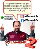 aflamenk2s grupo flamenco sevi_1