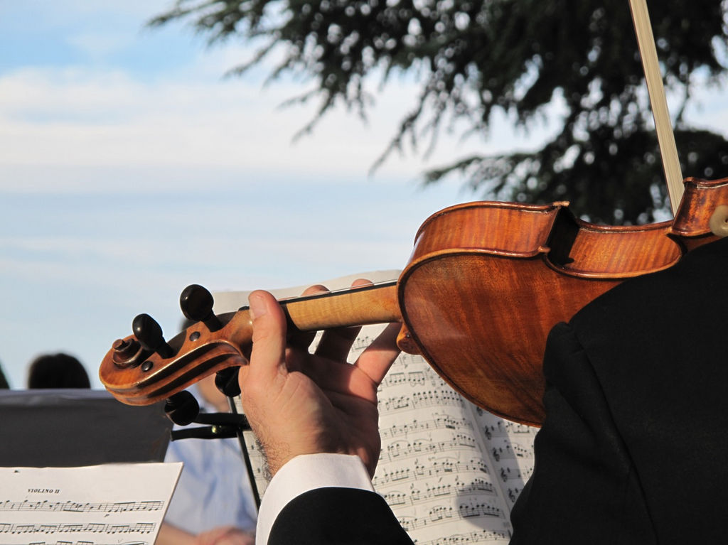 cantantes y músicos para boda 0