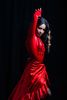 Fotos de Tauro Flamenco Espectáculos 1