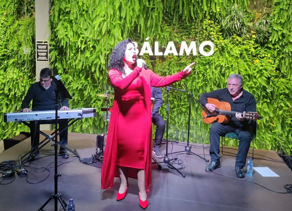 almudena cruza flamenco fusion-cancion espaÑola 3