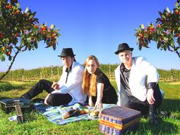 Summer Sun Partyband_0