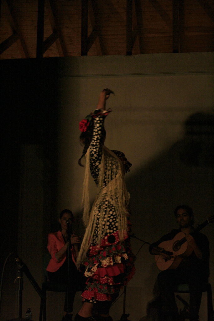 cuadro flamenco la barrosa 2