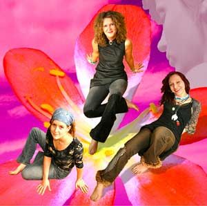 the shevettes 0