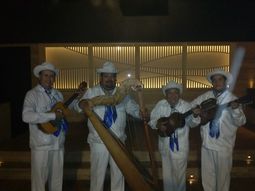 Grupo jarocho Profesional