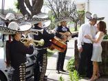 Mariachi S.Juan de Miraflores foto 2