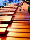 marimbas en el df_2