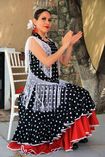 FLAMENCO EN QUERÉTARO_2