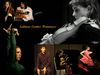 Salinero Eventos Flamencos