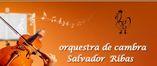 Orquesta de cambra Salvador Ribas foto 1
