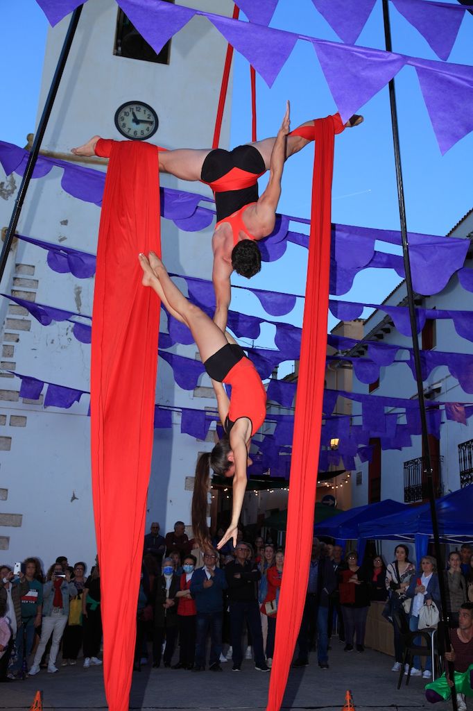 dúo de telas aéreas, circo show 0