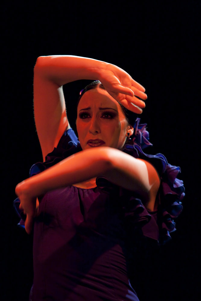 flamenco enfemenino 2