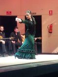 Espectáculo flamenco Acebuche foto 1