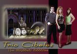 Trio musical Cibeles _1