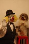 payaso garabato y sus perritos_2