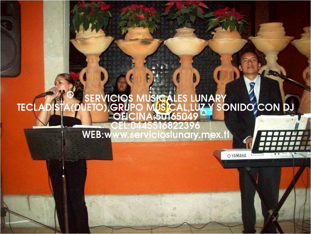 tecladista versátil méxico df 1