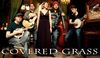 Covered Grass - Bluegrass