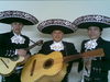 Fotos de Mariachi Aguilas del Norte 2