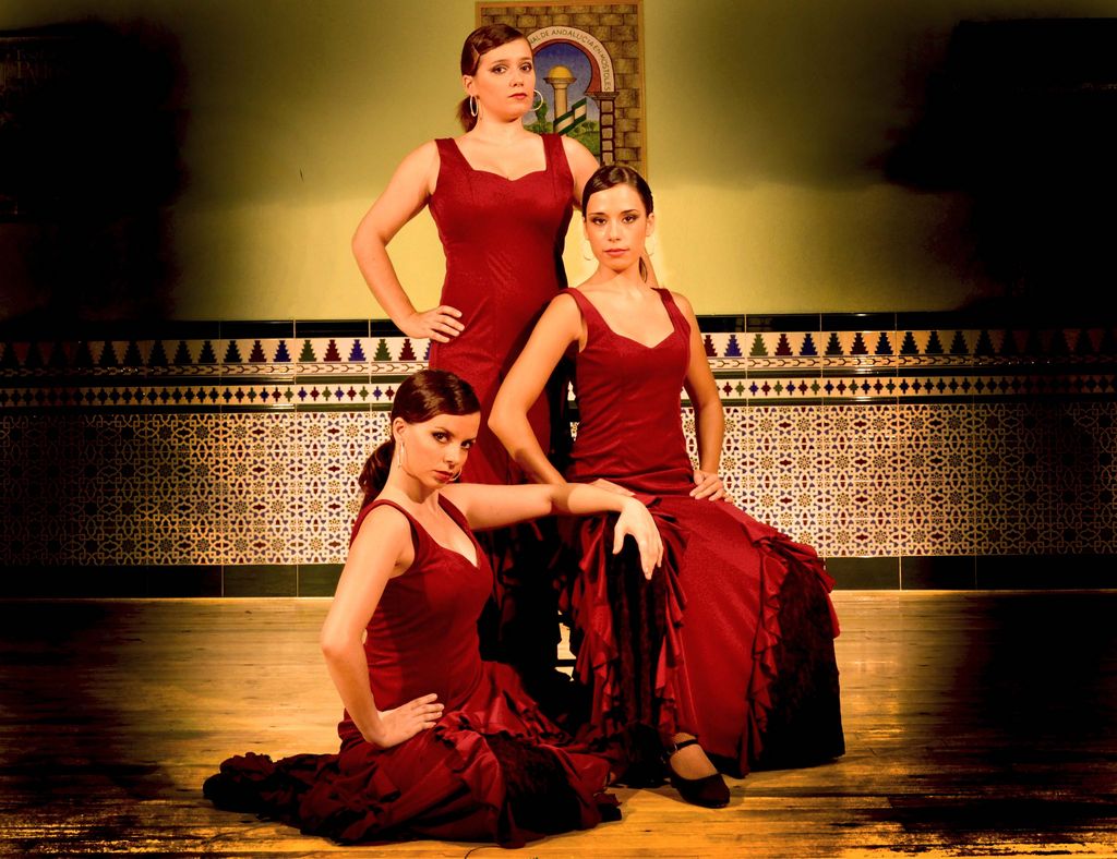 ballet flamenco sol y luna 0