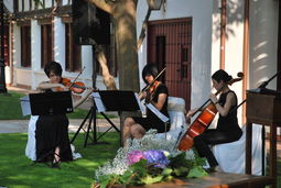 Mousiké a la carta ~ Música ceremonias Albacete