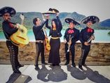 Mariachi El Rey_2