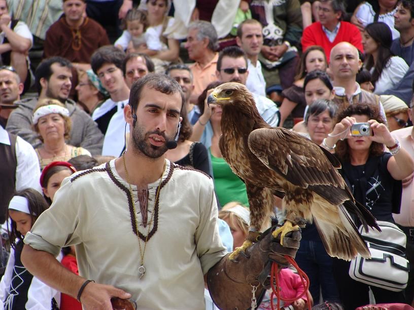 cetreria y exhibiciones  1