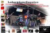 Lobo y Los Coyotes