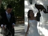 Aves Rapaces en Bodas_1