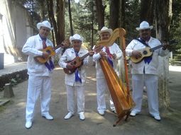 Los mejores grupos jarocho mar