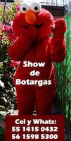 SHOW DE BOTARGAS INFANTILES