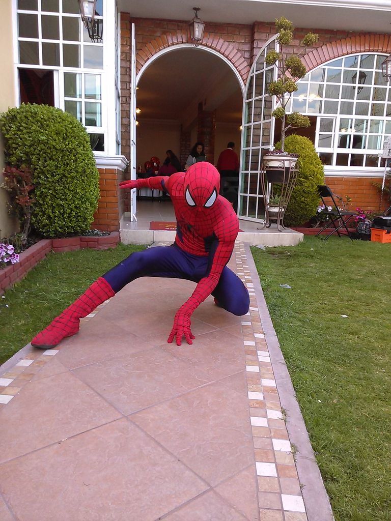 show hombre araña(spiderman) 0