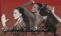 A4 flamenco_0