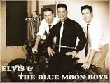 Elvis & The Blue Moon Boys foto 1