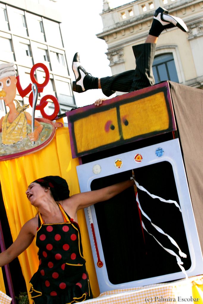 circo delfines 1