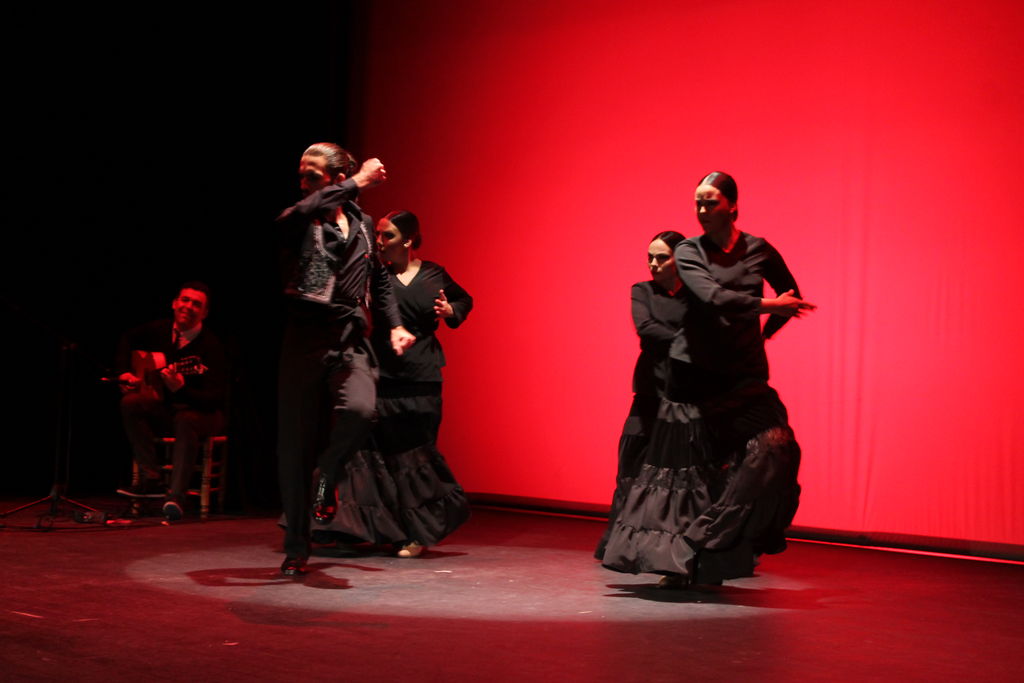 compañía flamenco manuel alcaide 2