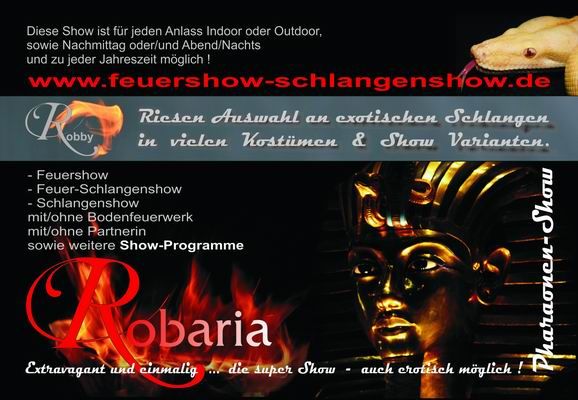 feuer-schlangenshow sachsen 0