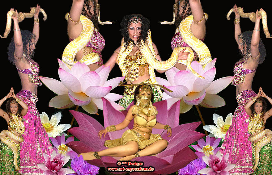 orient shows & dekorationen... 1