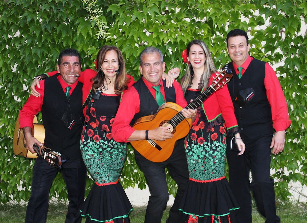 grupo flamenco alandra 0