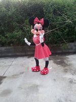 Animadora Minnie