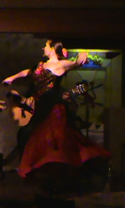 flamenco para tu evento, músi 2