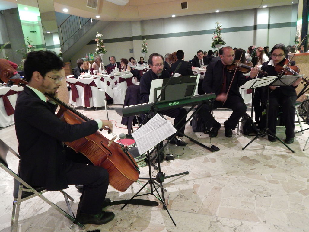 música músicos para eventos  2