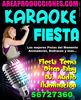 Fotos de Fiesta Karaoke DF Renta y Serv 0