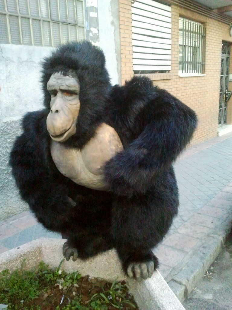 despedidas gorila animación 0