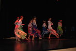 Compañía Pasion Flamenca foto 1