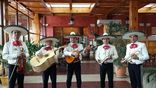 Mariachi Mézcal_1